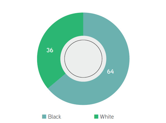 Board racial composition (%)