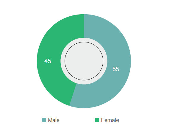 Board gender composition (%)