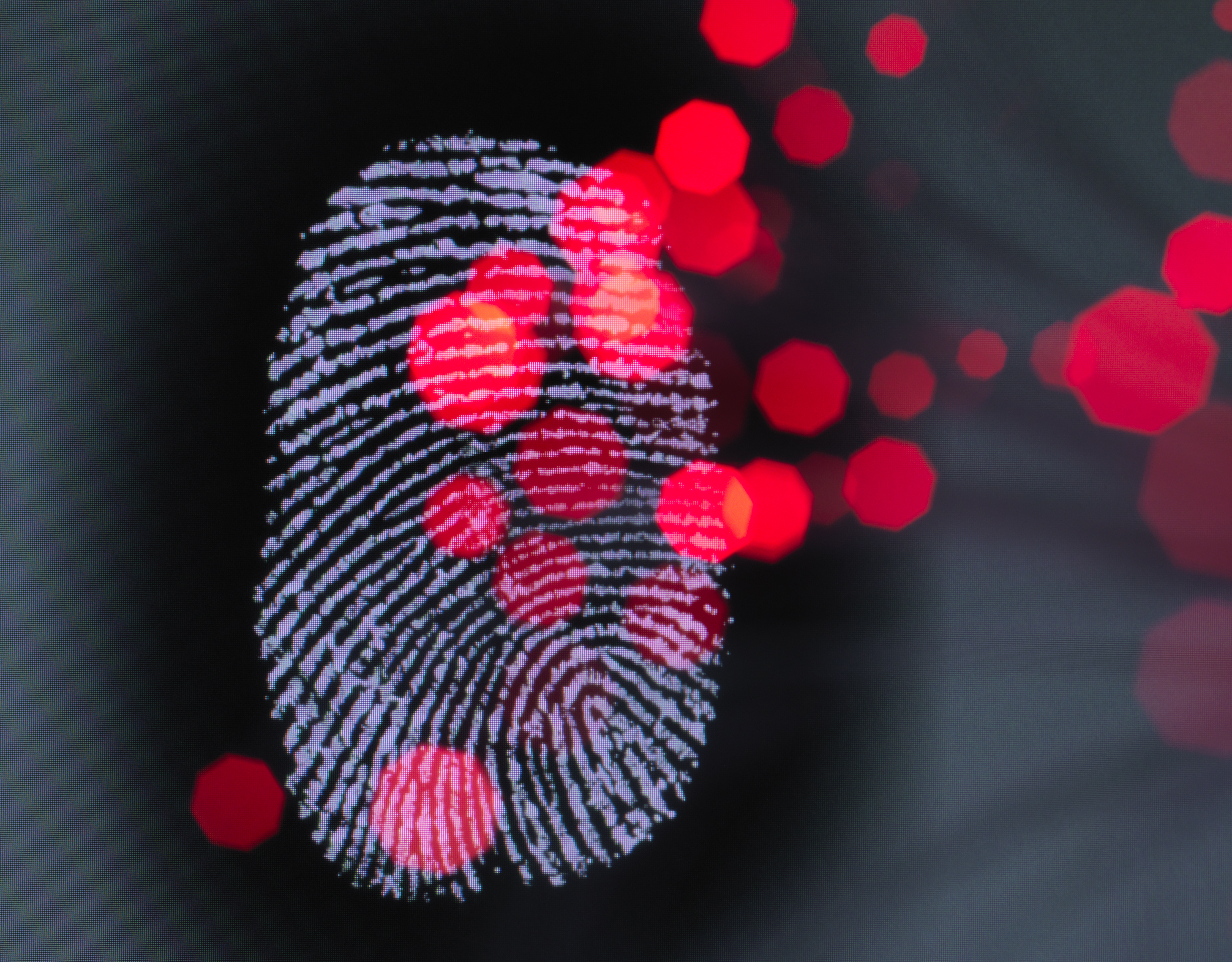 a finger print identity on a screen