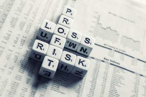 profit, loss and risk