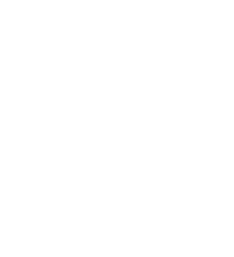 lion picture of a Lion