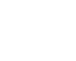 BSA logo