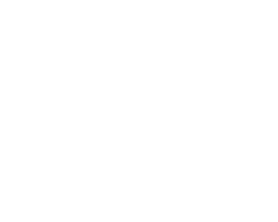 Primestars logo
