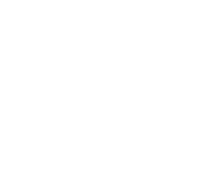 Solidaroty fund logo